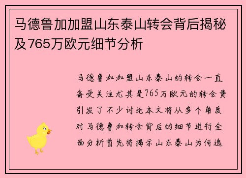 马德鲁加加盟山东泰山转会背后揭秘及765万欧元细节分析