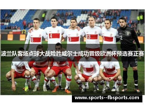 波兰队客场点球大战险胜威尔士成功晋级欧洲杯预选赛正赛